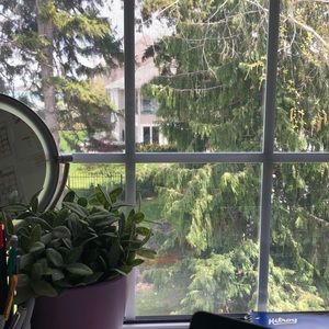 Meet your Posher, Ella